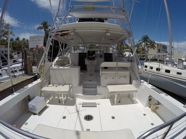 Benchmark 38 | Matt's Cat