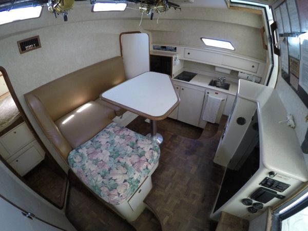 Benchmark 38 | Matt's Cat