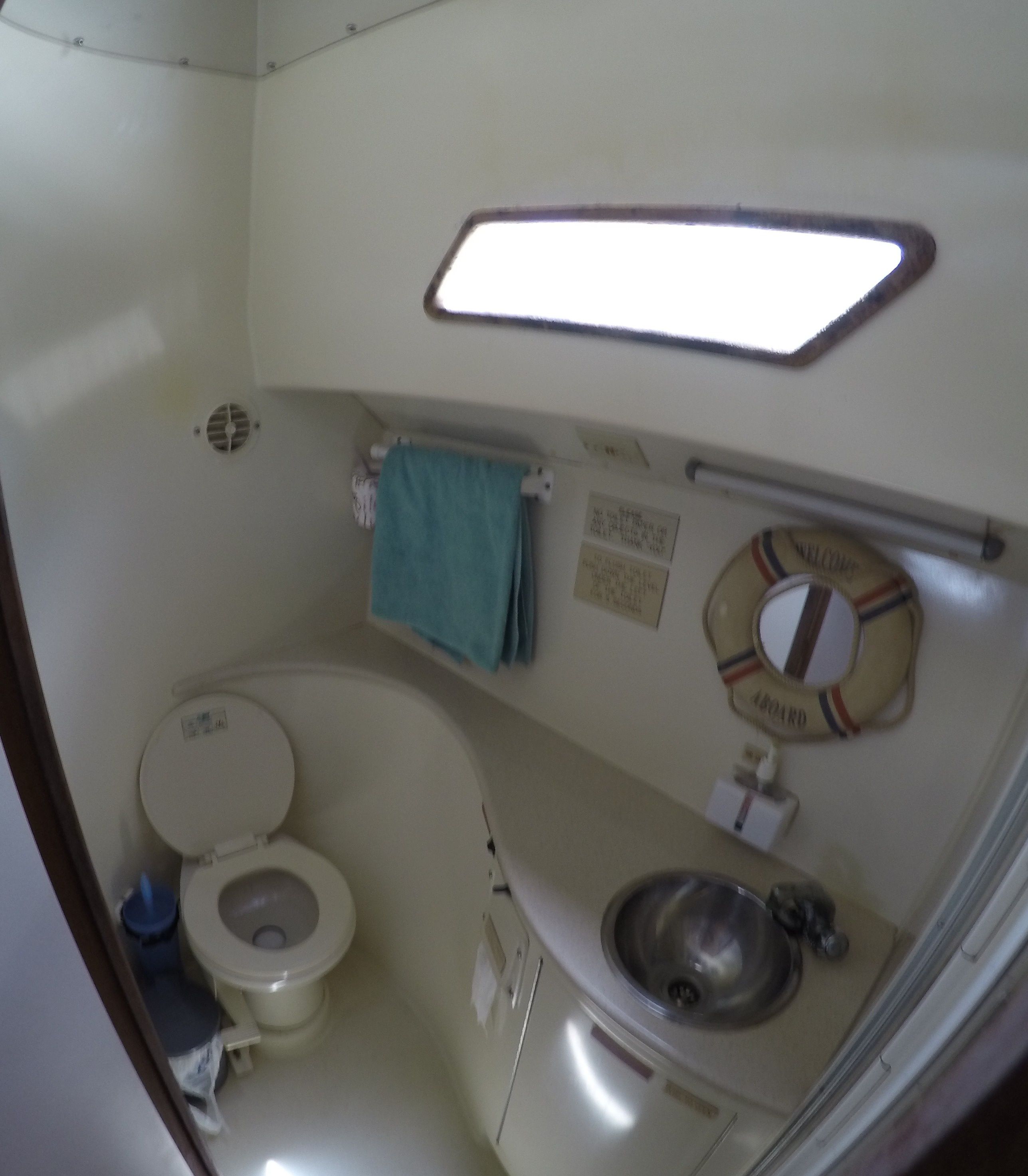 Benchmark 38 | Matt's Cat