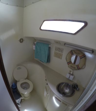 Benchmark 38 | Matt's Cat