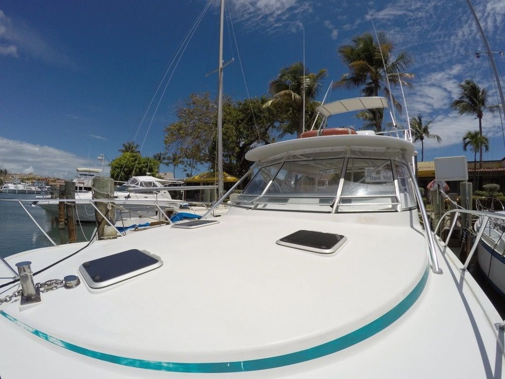 Benchmark 38 | Matt's Cat