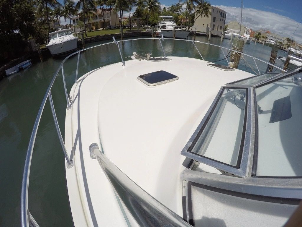 Benchmark 38 | Matt's Cat