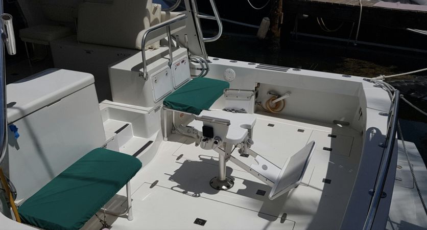 Benchmark 38 | Matt's Cat