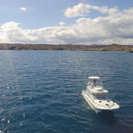 Benchmark 38 | Matt's Cat