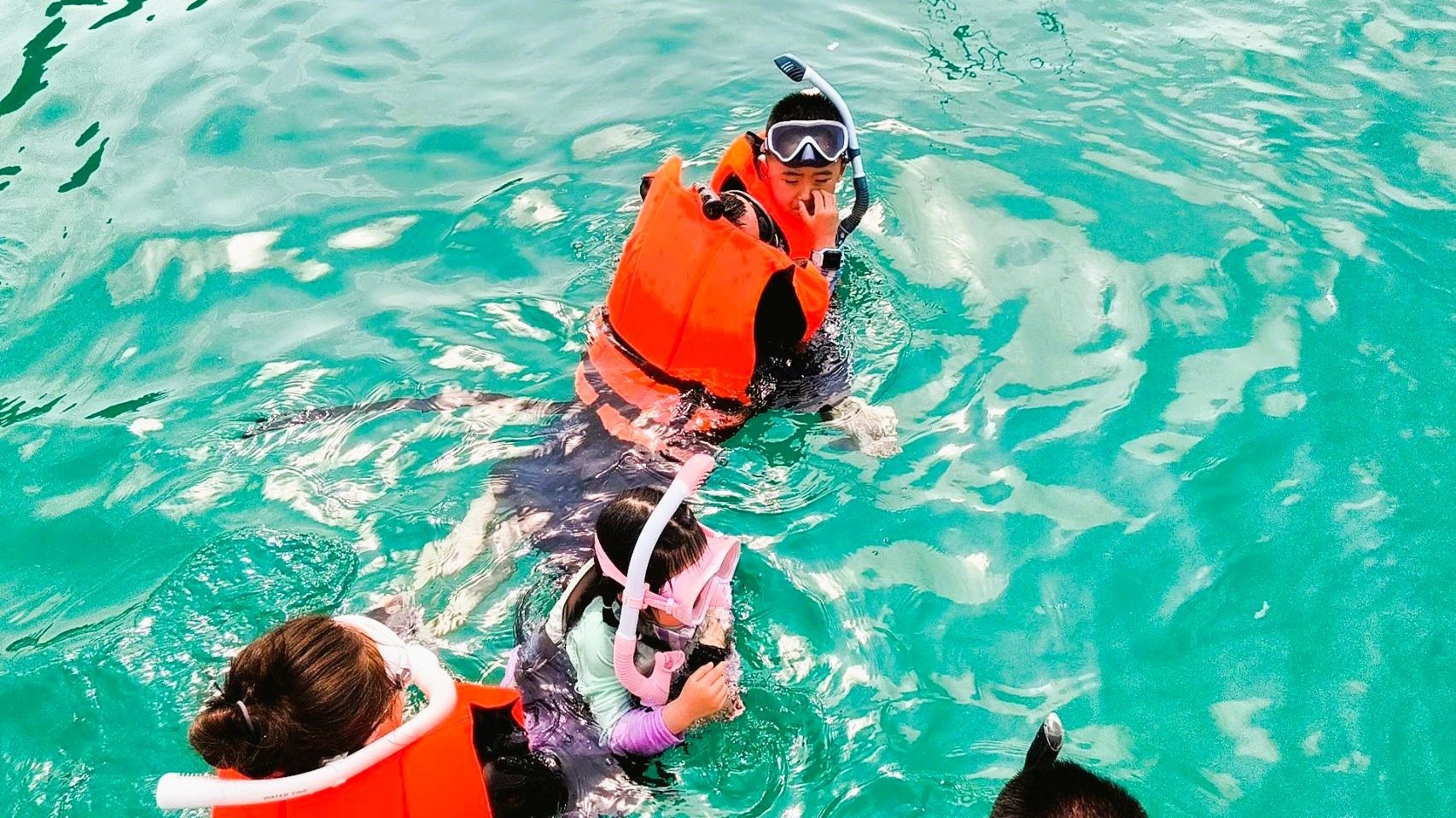 Custom Built 55 | Super X