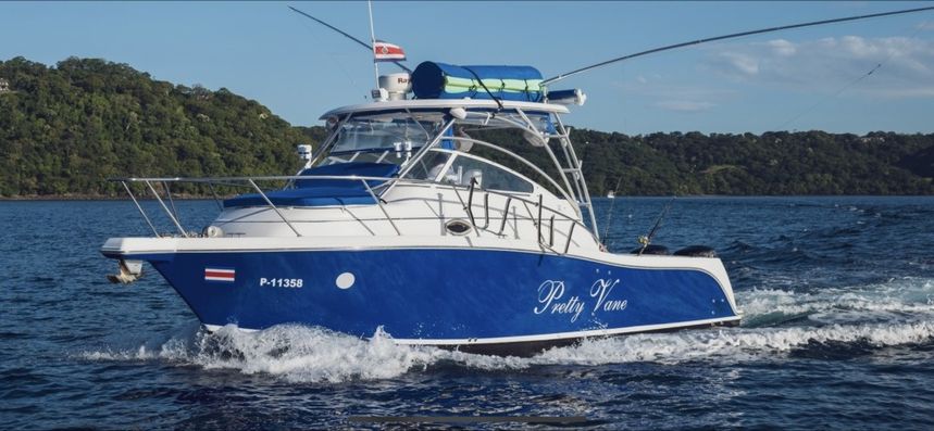 Pro Line 32 | Pretty Vane