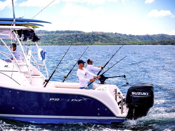 Pro Line 32 | Pretty Vane