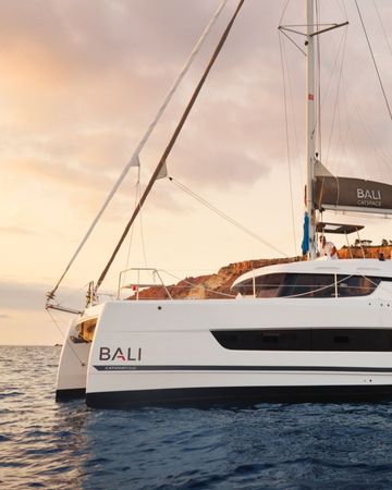 Bali Catsmart | Enterprise