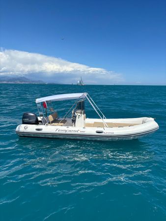 Capelli Tempest 530 | Hobo