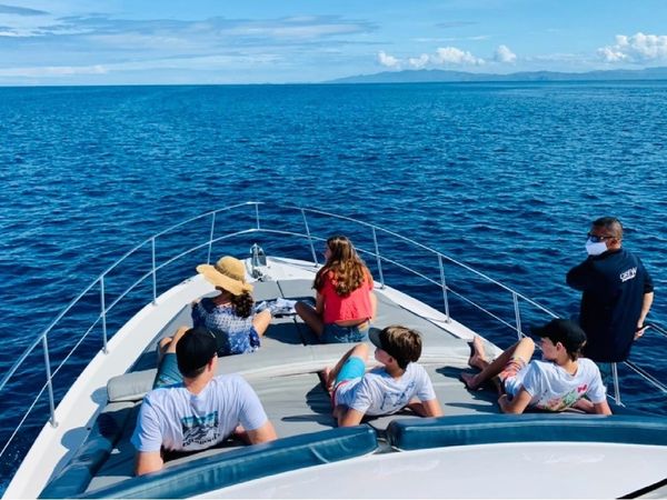 Sea Ray 400 | Sea Ya