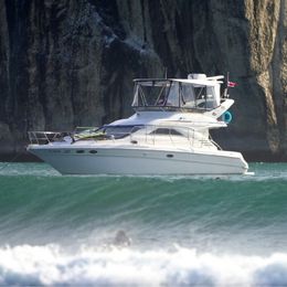 Sea Ray 400 | Sea Ya