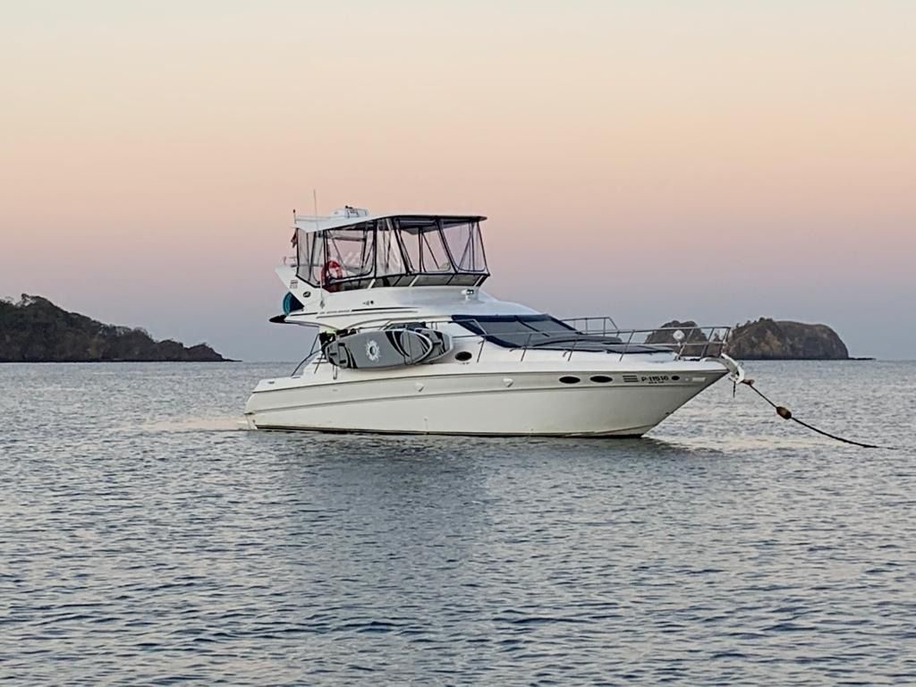 Sea Ray 400 | Sea Ya