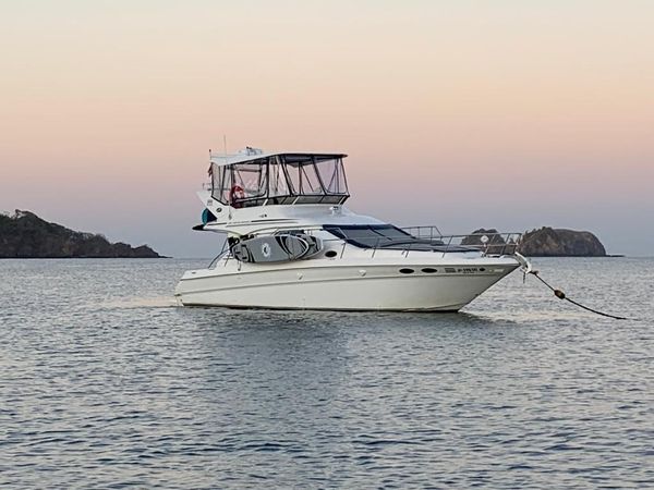 Sea Ray 400 | Sea Ya