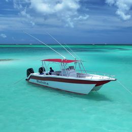 Custom Built 30 | Balsita