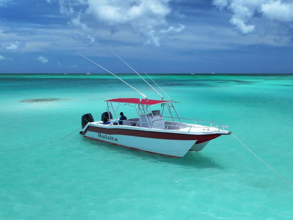 Custom Built 30 | Balsita