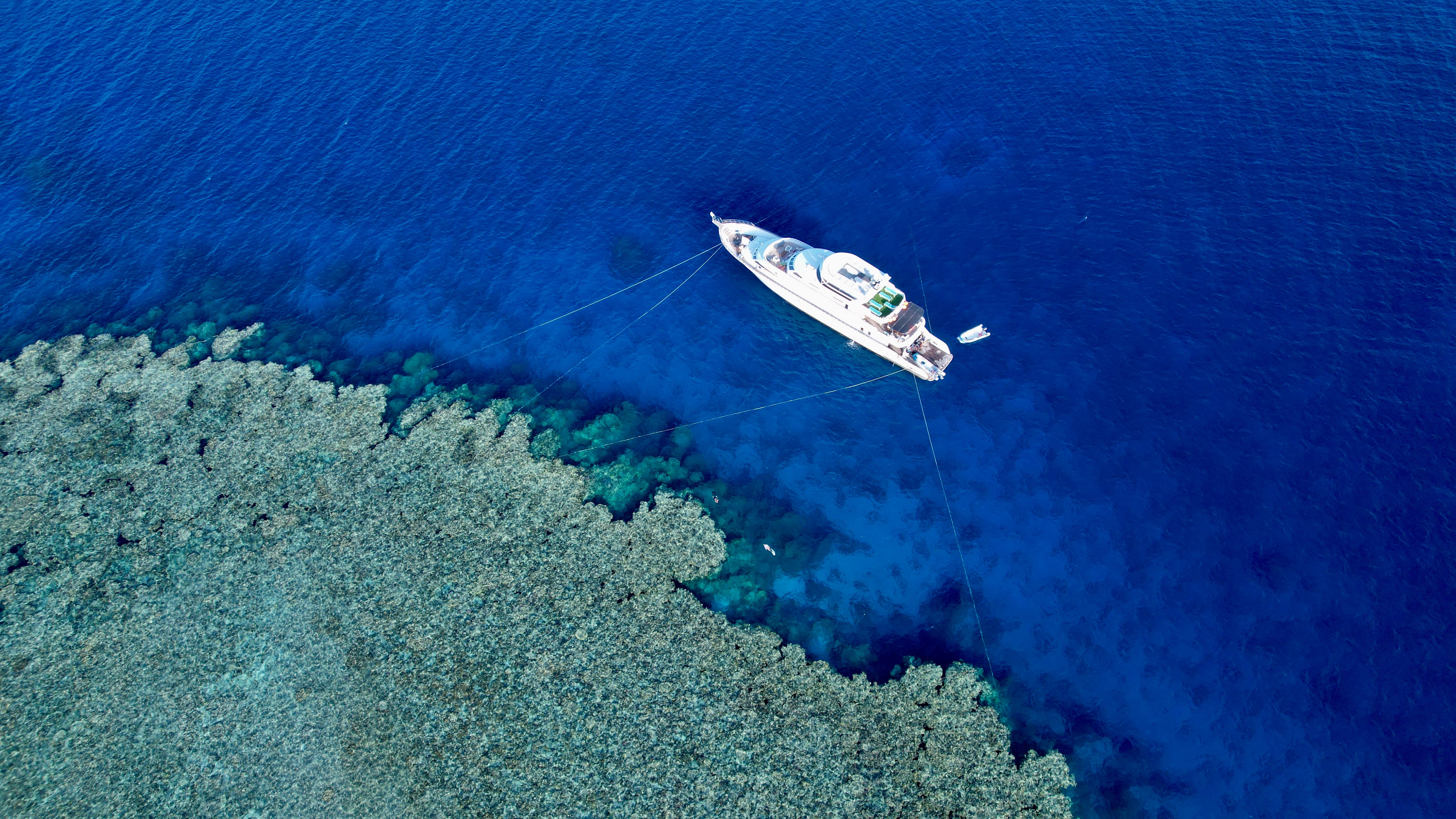 Custom Built 137 | Galaxy 720