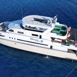 Custom Built 137 | Galaxy 720