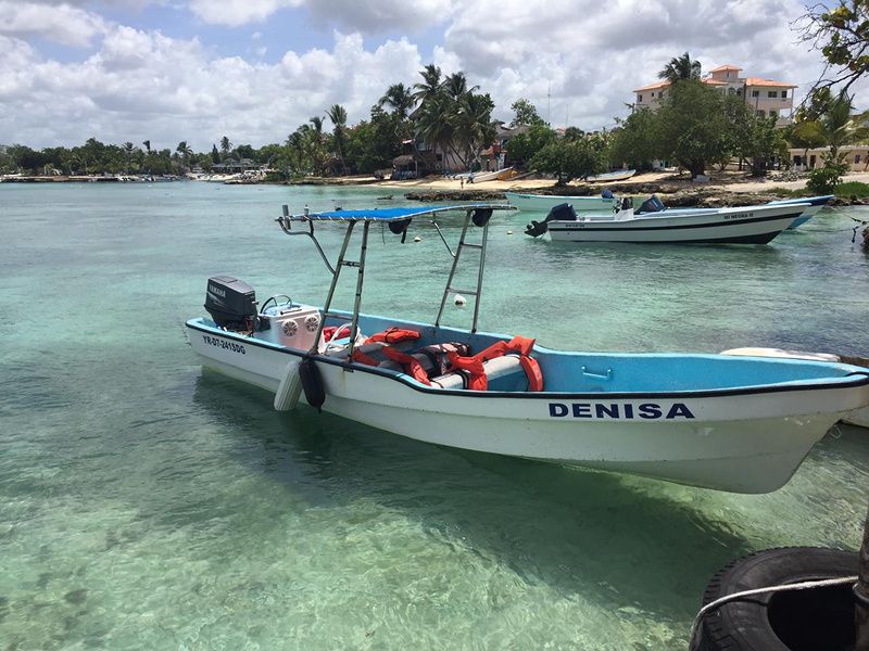 Yamaha 24 | Denisa