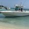 Boston Whaler 32 | Trampolin