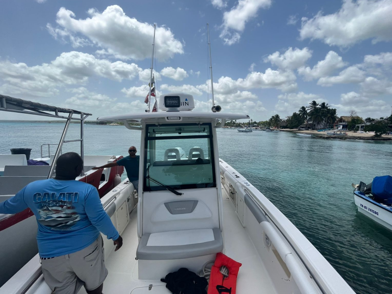 Boston Whaler 32 | Trampolin