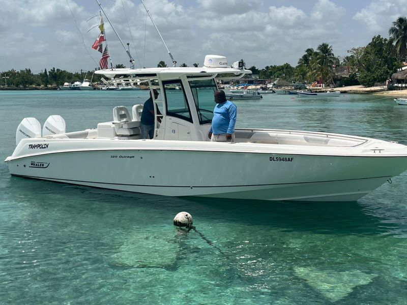Boston Whaler 32 | Trampolin