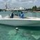 Boston Whaler 32 | Trampolin