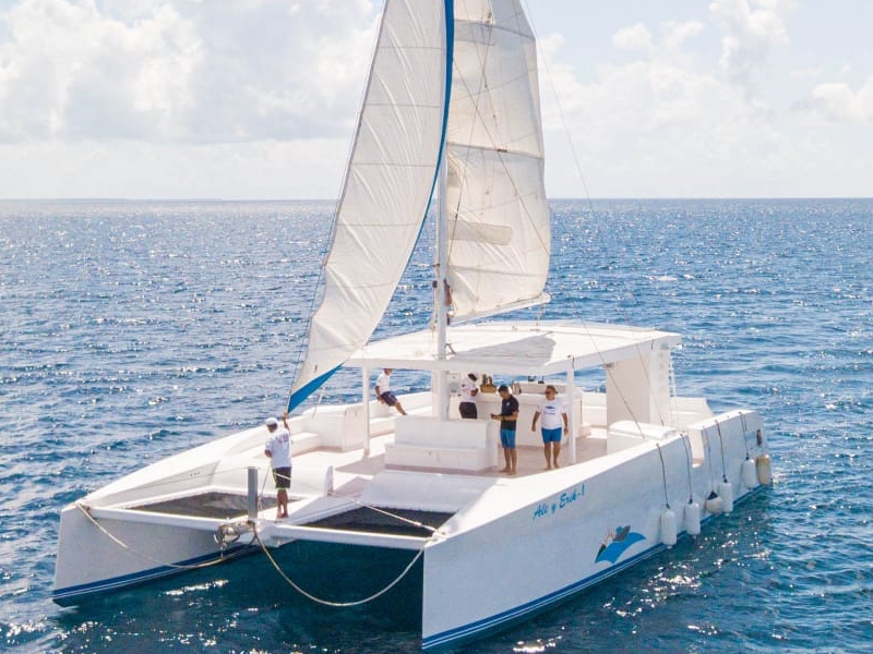 Custom Built 56 | Ale y Erik 1