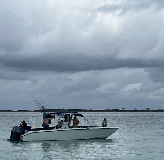 Monza 31 | Seacation