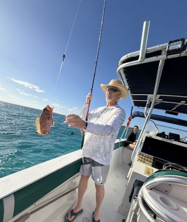 Monza 31 | Seacation