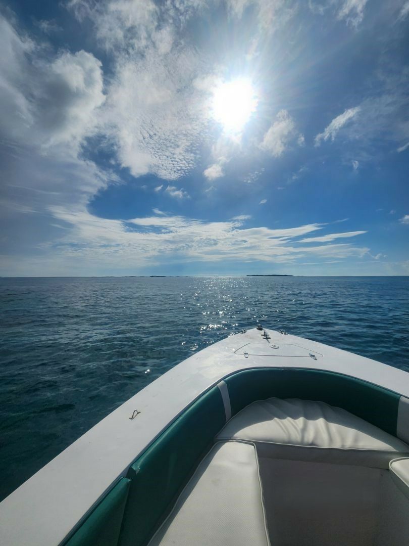 Monza 31 | Seacation