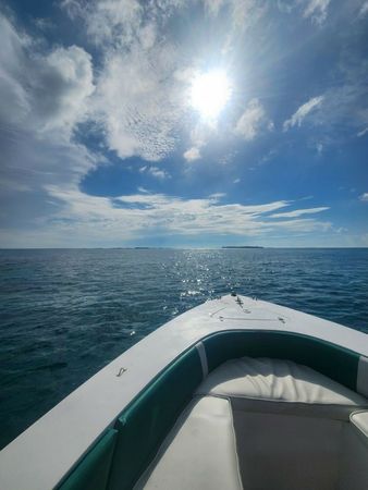 Monza 31 | Seacation