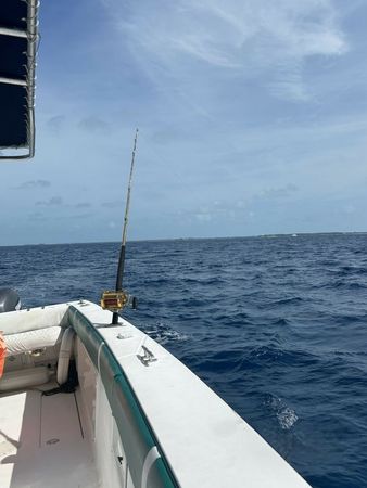 Monza 31 | Seacation