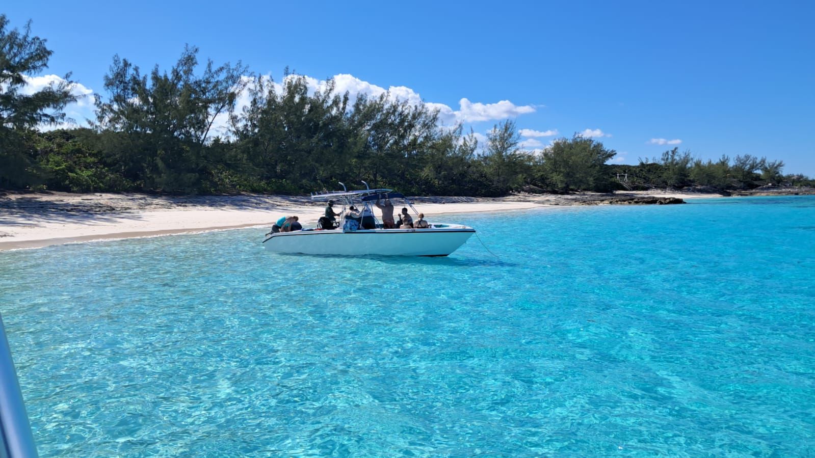 Monza 31 | Seacation