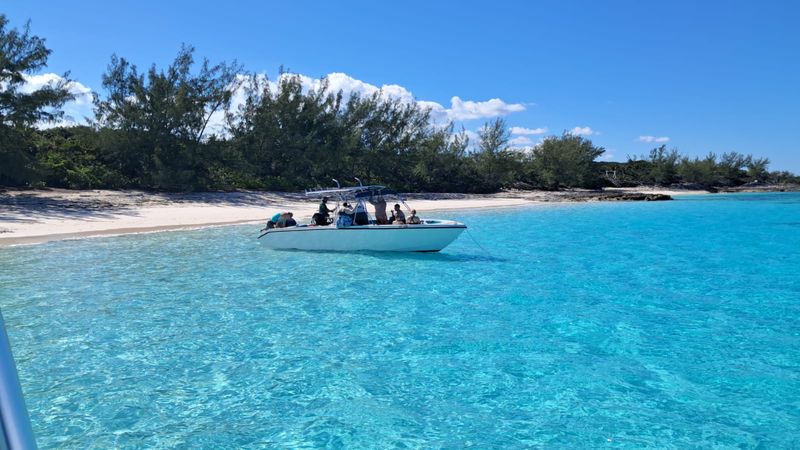 Monza 31 | Seacation