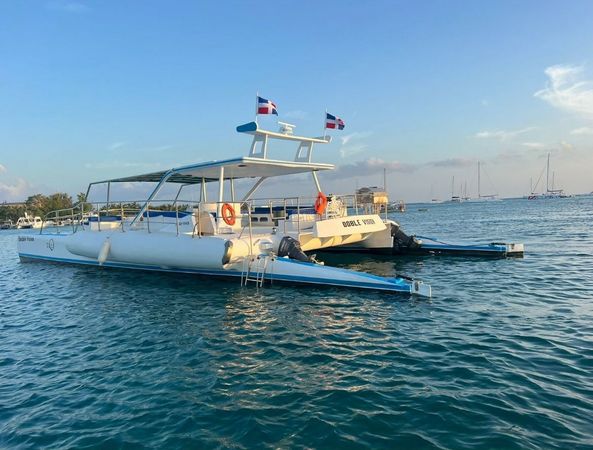 Custom Built 50 | Double Vision