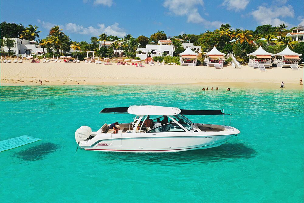 Boston Whaler 32 | 00