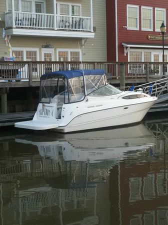 Bayliner Ciera 245 | Slip Knot