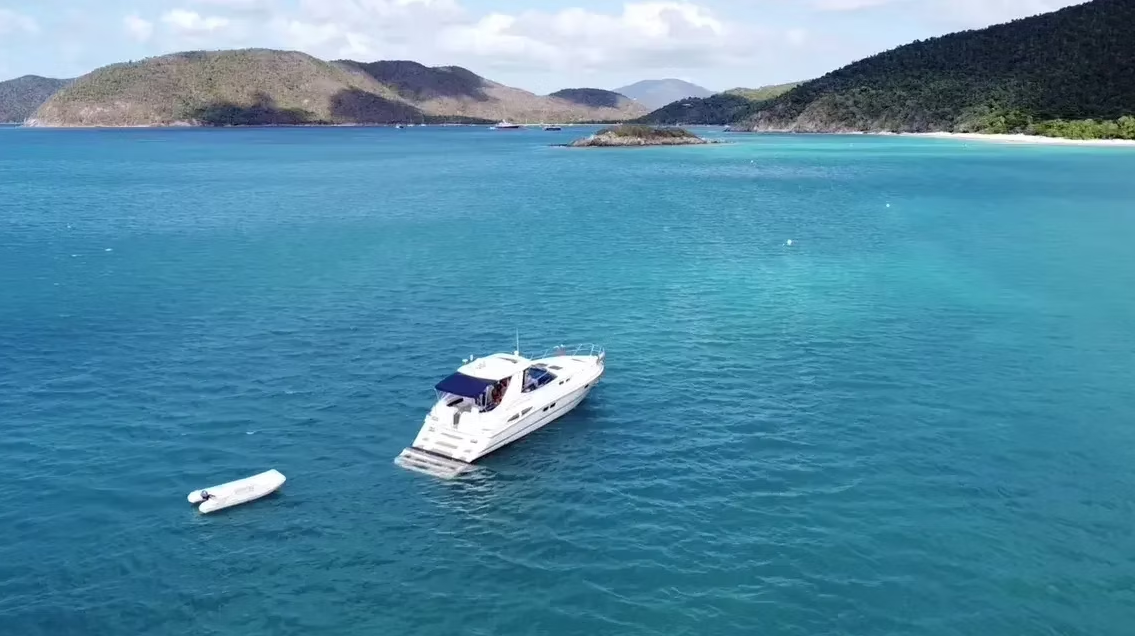 Sealine S48 | Stardust