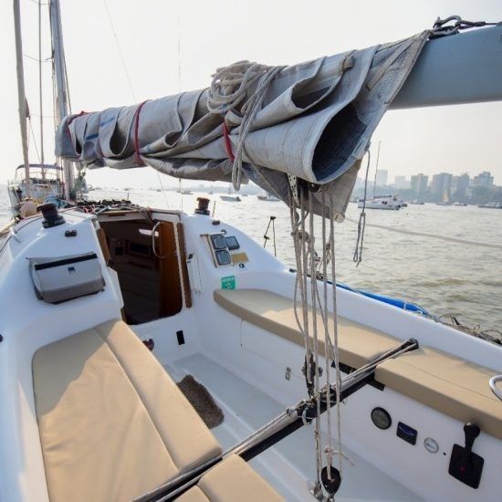 Malbec 290 | Seagull