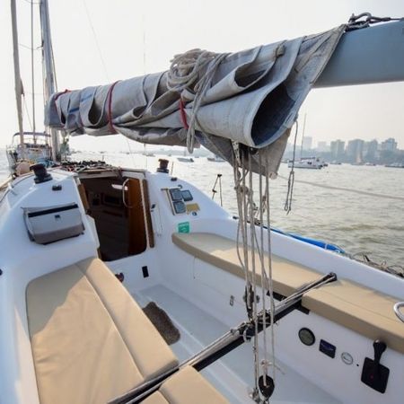 Malbec 290 | Seagull