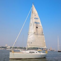 Malbec 290 | Seagull