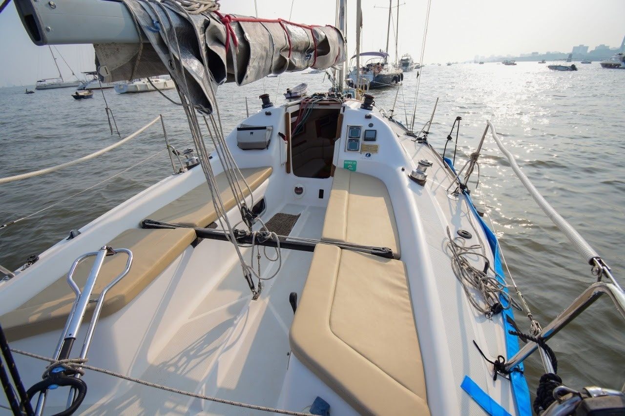 Malbec 290 | Seagull