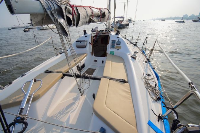 Malbec 290 | Seagull