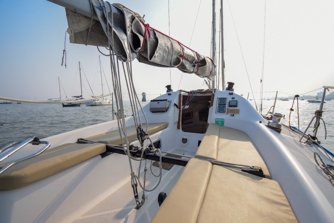 Malbec 290 | Seagull