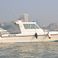 Gulf Craft 31 | TT Maximus