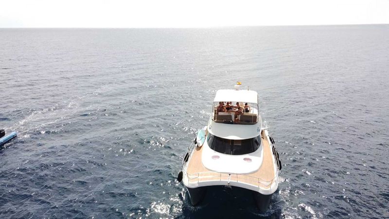 Flash Cat 43 | Little Mia