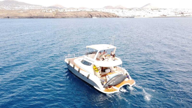 Flash Cat 43 | Little Mia