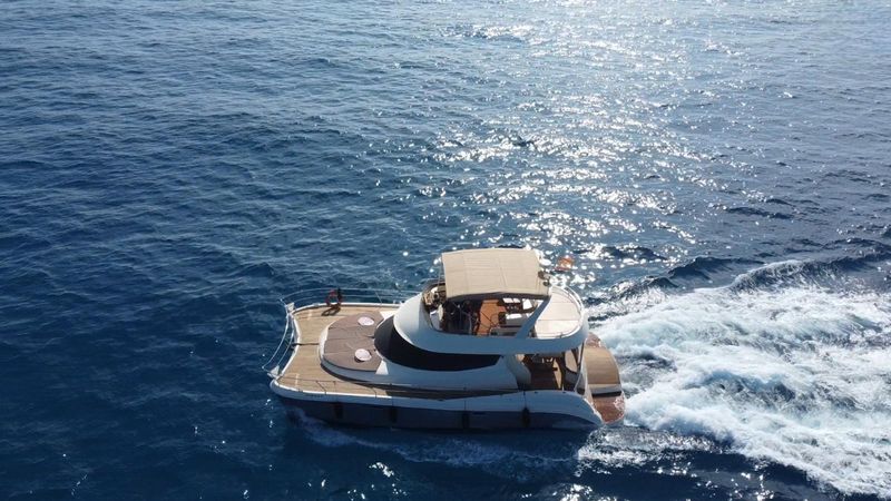 Flash Cat 43 | Little Mia