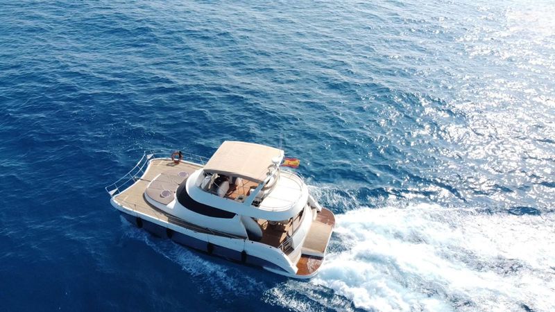 Flash Cat 43 | Little Mia