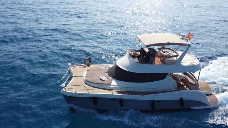 Flash Cat 43 | Little Mia